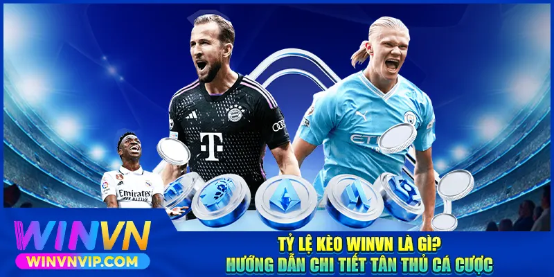 https://blockeddrains.uk.com/ty-le-keo-winvn/